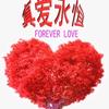 ල᭄💞真爱永恒♥⁵²º⅓¼࿐