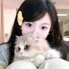 兮兮（向往）