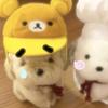 苏苒棋🦋（一定会去见解解版）