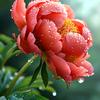 牵挂