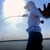 探钓江湖-仉鹏🎣
