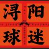 九江市浔阳区球迷协会
