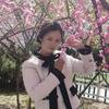 彼岸花