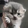 .1..