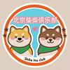 北京柴柴俱乐部