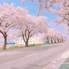 芷禾余安