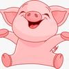猪猪学诗词