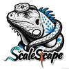 ScaleScape鳞域爬宠