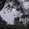 胆寒