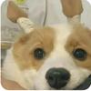 save