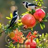 江苏南通 婚介（脱单私信）