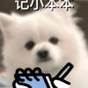 西瓜西瓜