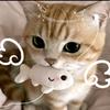 小猫碎碎念⌯'Ⱉ'⌯