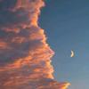每天都要吃很多雪糕🍦