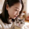 扶摇直上