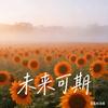 岁月安暖