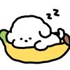咸乎乎的柠檬🍋