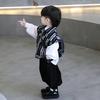 岛主