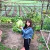 梦里荷花²⁰²⁶₅₁₈