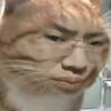 小猫劳底