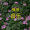 正合影视