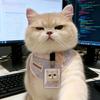 Token猫