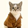 虎咪回家🐱