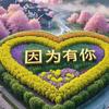 温暖的弦