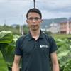 百家讲农-王汉柱讲槟榔芋种植技术