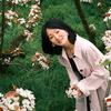 梨花