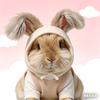 是栗子吖🐰