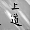 重生之我是书法生