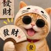 张先生◡̈