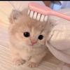 ʚ愛心动ɞ ິ