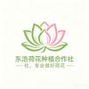 东浩荷花莲蓬种植合作社（李浩）