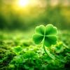 青茵知裕🍀