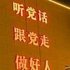 追风