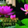 qiu丘