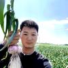 致远蒜种合作社