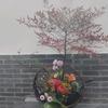 豆豆加油