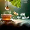 海洋yu宝