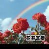 合肥fxy