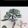 第五空间