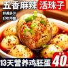 新鲜活珠子