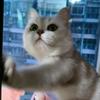 Hahhh