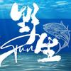 野冷鲜大西洋蓝鳍金枪鱼