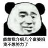 ......此处省略一万字