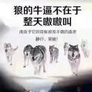 艺琳贝贝