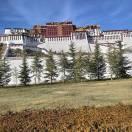 流浪一生(嗨缘)