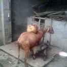 改变生活去追梦